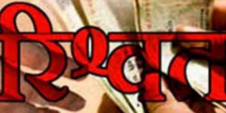 विजिलेंस की टीम ने राजस्व कर्मचारी को रिश्वत लेते हुए रंगे हाथ दबोच लिया।