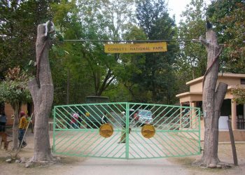 बड़ी खबर : सीएम धामी ने इस पार्क को लेकर दिए गए निर्देश। मांगा नोटिस…..