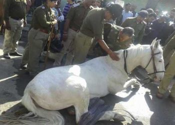 बड़ी खबर : यहां कैबिनेट मंत्री की बढ़ सकती है मुश्किलें, हाईकोर्ट पहुंचा मामला