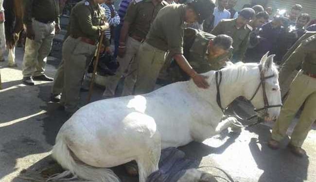 बड़ी खबर : यहां कैबिनेट मंत्री की बढ़ सकती है मुश्किलें, हाईकोर्ट पहुंचा मामला