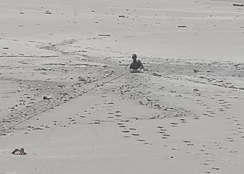 ब्रेकिंग : दलदल में फंसा युवक, रेस्क्यू जारी