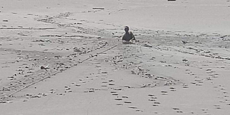 ब्रेकिंग : दलदल में फंसा युवक, रेस्क्यू जारी