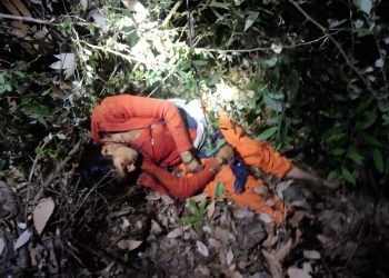 दुखद : महिला को आदमखोर बाघ ने बनाया निवाला।महिला की मौत 