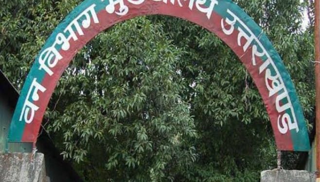 गजब : पुलिस ने थाने से ही छोड़े जंगलात के शिकारी