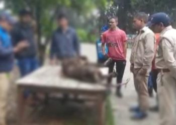 गुस्याये ग्रामीणों ने जिदां जलाया पिंजरे में बंद गुलदार, ग्रामीणों पर होगी कार्यावाही