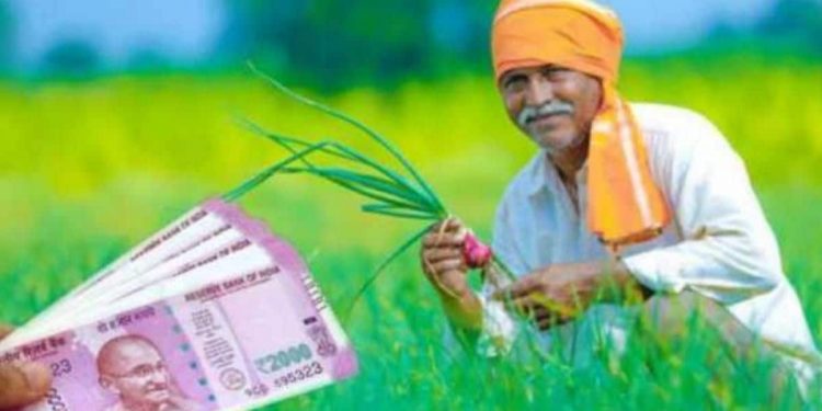खुशखबरी : पीएम किसान योजना 11वीं किस्त का इंतजार अब खत्म। जल्द करें यह काम…