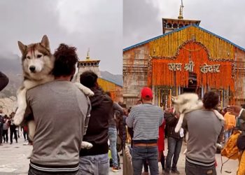 केदारनाथ कुत्ते के साथ सुर्खियों में आए रोहित त्यागी ने दी अपनी सफाई