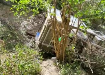 दुर्घटना: वाहन के खाई में गिरने से एक की मौत