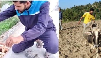 प्रेरणा: चम्पावत के उद्यान अधिकारी पेश कर रहे उदहारण,पढ़िए इस खास रिपोर्ट में।