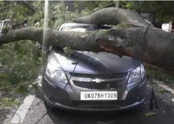 बड़ी खबर: यहां पेड़ गिरने से दो गाड़ियां क्षतिग्रस्त