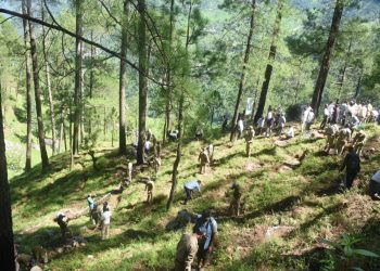 उत्तरकाशी में बड़े उत्साह से मनाया गया हरेला पर्व