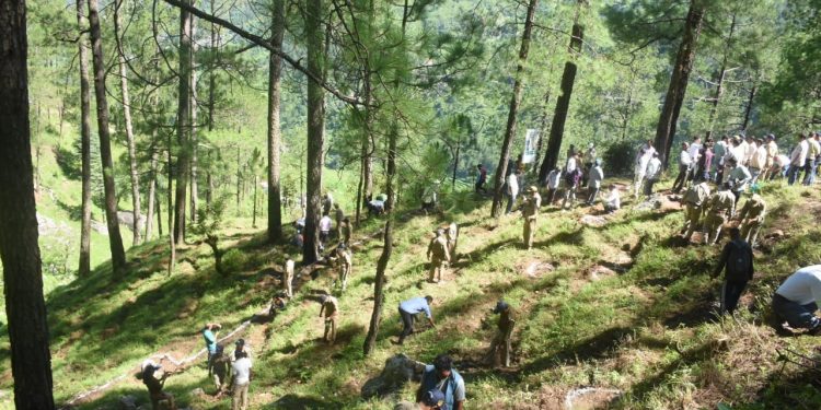 उत्तरकाशी में बड़े उत्साह से मनाया गया हरेला पर्व