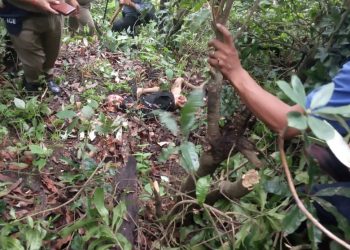 5 वर्षीय बच्चे को मां के सामने उठा ले गया आदमखोर