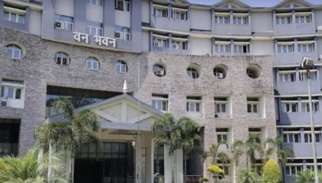 बड़ी खबर: वनविभाग में आईएफएस अधिकारियों के हुए बंपर तबादले। देखे लिस्ट