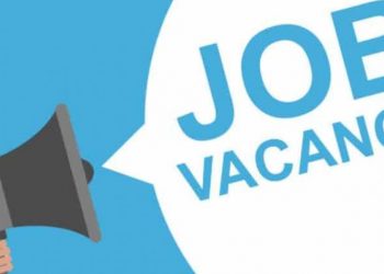 जॉब अलर्ट: यूपीपीसीएल में निकली कई पदो पर भर्ती,ऐसे करें आवेदन।