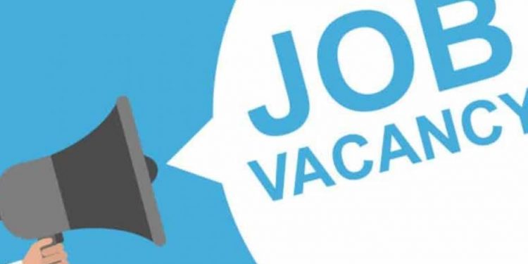 जॉब अलर्ट: यूपीपीसीएल में निकली कई पदो पर भर्ती,ऐसे करें आवेदन।