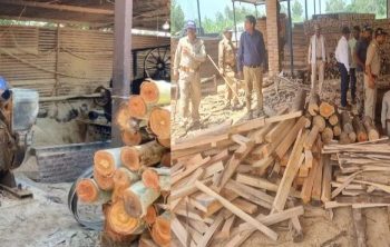 बिग ब्रेकिंग: वन विभाग की बड़ी कार्यवाही,अवैध चिरान कर रहे अभियुक्त गिरफ्तार, मशीनें सीज।
