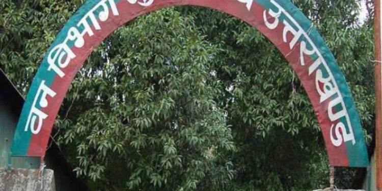 बड़ी खबर: पूर्व IFS समेत कई वन अफसरों पर दर्ज होगा मुकदमा।ये है मामला