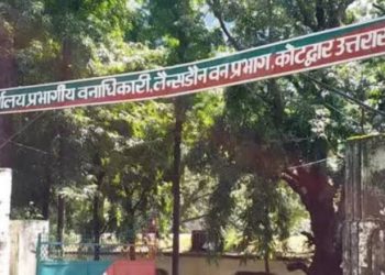 बड़ी खबर: वन विभाग के कारनामे। कर्मचारियों को नहीं दिया 1 साल से वेतन। दिखाया बाहर का रास्ता