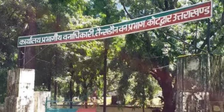 बड़ी खबर: वन विभाग के कारनामे। कर्मचारियों को नहीं दिया 1 साल से वेतन। दिखाया बाहर का रास्ता