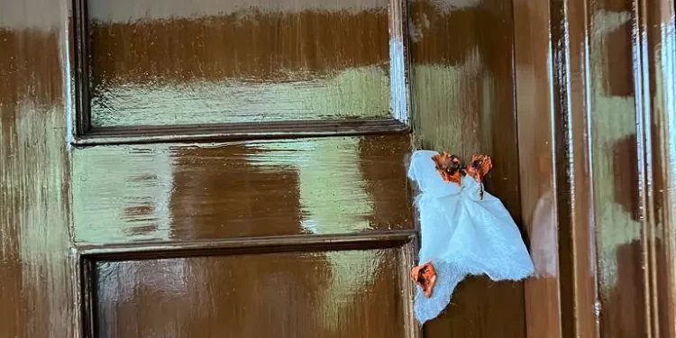 बिग ब्रेकिंग: अंकिता हत्याकांड के बाद सीएम ने दिए उत्तराखंड के समस्त रिज़ार्ट के जाँच के निर्देश