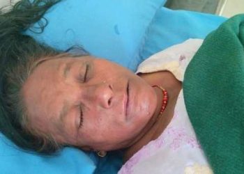 बड़ी खबर: यहां जंगल जा रही महिलाओं पर ततैया के झुंड ने किया हमला। अस्पताल में चल रहा सभी का इलाज।