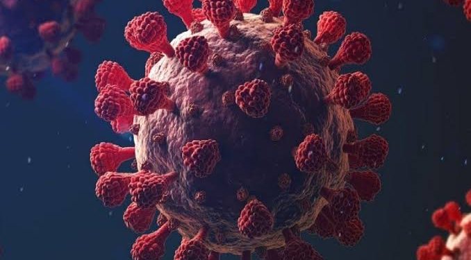 उत्तराखंड में फिर आया कोरोना। 2 मरीजों की मौत की पुष्टि।