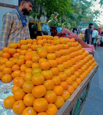 जो माल्टा बाजारों में ₹80 प्रति किलो बिक रहा है उसका सरकारी धाम मात्र ₹8 रूपये।