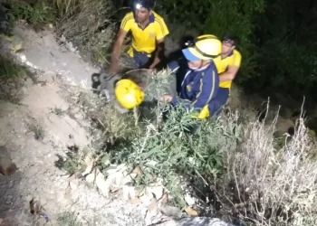 दुर्घटना: देवदूत बनी SDRF खाई में गिरे दो युवकों को किया घनघोर अंधेरे में रेस्क्यू..