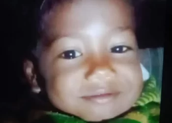 दुखद: यहां 4 वर्षीय मासूम को गुलदार ने बनाया निवाला। क्षेत्र में दहशत..