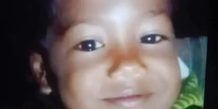 दुखद: यहां 4 वर्षीय मासूम को गुलदार ने बनाया निवाला। क्षेत्र में दहशत..