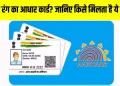 अपडेट: UIDAI ने जारी किया स्पेशल ब्लू आधार कार्ड।ऐसे बनवाए..