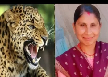 आतंक: यहां घास लेने गई महिला को गुलदार ने बनाया अपना निवाला..