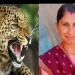 आतंक: यहां घास लेने गई महिला को गुलदार ने बनाया अपना निवाला..
