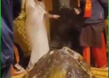 बड़ी खबर: केदारनाथ मंदिर के गर्भ गृह में पैसा बरसा रही महिला पर मुकदमा दर्ज ..