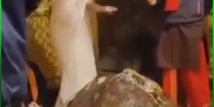 बड़ी खबर: केदारनाथ मंदिर के गर्भ गृह में पैसा बरसा रही महिला पर मुकदमा दर्ज ..