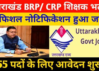 बड़ी खबर: BRP और CRP के 955 पदों पर जल्द होगी भर्ती। पढ़े पूरी ख़बर..