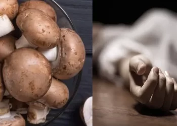 दुखद: यहां जंगली मशरूम खाने से पति पत्नी की मौत। मां हॉस्पिटल में भर्ती ..