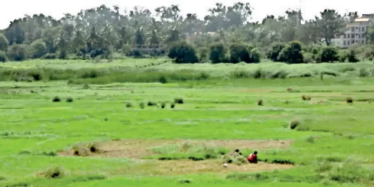 बिग ब्रेकिंग: विवादित चाय बागान की जमीन का फर्जीवाड़ा। असम के इस शख्स का आया नाम..