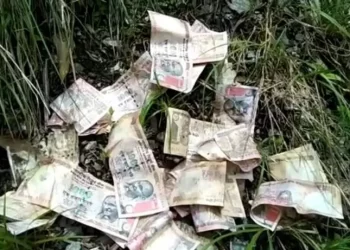 बड़ी खबर: यहां जंगल में मिले 1000 और 500 के बंद हो चुके नोट। पढ़े पूरी ख़बर..