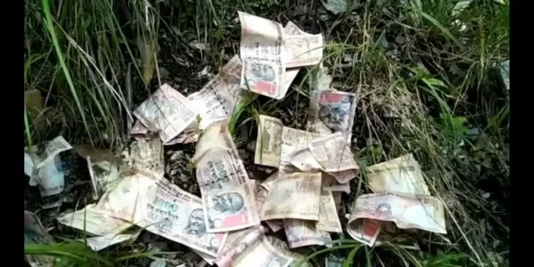 बड़ी खबर: यहां जंगल में मिले 1000 और 500 के बंद हो चुके नोट। पढ़े पूरी ख़बर..