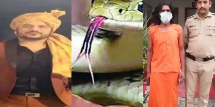 साज़िश: यहां गर्लफ्रेंड ने प्रेमी से पीछा छुड़ाने के लिए प्रेमी को सांप से कटवाया। मौत.. सपेरा गिरफ्तार