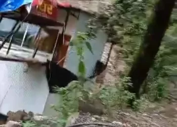 वीडियो: केदारनाथ हाईवे किनारे 6 कमरों का रिसोर्ट और रेस्टोरेंट धराशाई हो गया। देखें वीडियो..