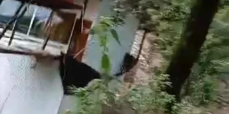 वीडियो: केदारनाथ हाईवे किनारे 6 कमरों का रिसोर्ट और रेस्टोरेंट धराशाई हो गया। देखें वीडियो..