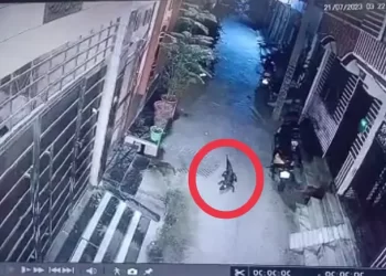 बड़ी खबर: यहां चहल कदमी करता दिखा मगरमच्छ। लोगों में दहशत, देखें वीडियो..