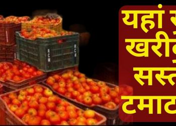 राहत: 50 से 70 रूपये किलो सस्ते मिलेंगे टमाटर। सस्ते टमाटरों के काउंटर लगाएं जायेंगे..
