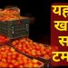 राहत: 50 से 70 रूपये किलो सस्ते मिलेंगे टमाटर। सस्ते टमाटरों के काउंटर लगाएं जायेंगे..