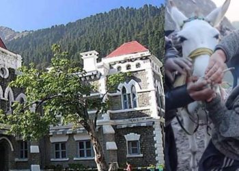 हाईकोर्ट ब्रेकिंग: हाइकोर्ट ने DM चमोली, रूद्रप्रयाग, उत्तरकाशी, टूरिज्म बोर्ड, पशु कल्याण बोर्ड को जारी किया नोटिस..