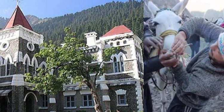 हाईकोर्ट ब्रेकिंग: हाइकोर्ट ने DM चमोली, रूद्रप्रयाग, उत्तरकाशी, टूरिज्म बोर्ड, पशु कल्याण बोर्ड को जारी किया नोटिस..