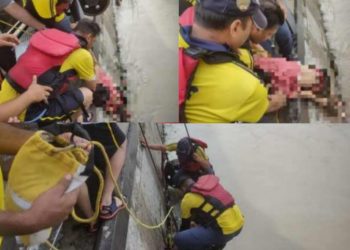 हादसा: डाकपत्थर, शक्ति नहर में बहा किशोर, SDRF ने सर्चिंग के दौरान बरामद किया शव..